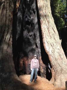 Representing PyCon in the redwoods